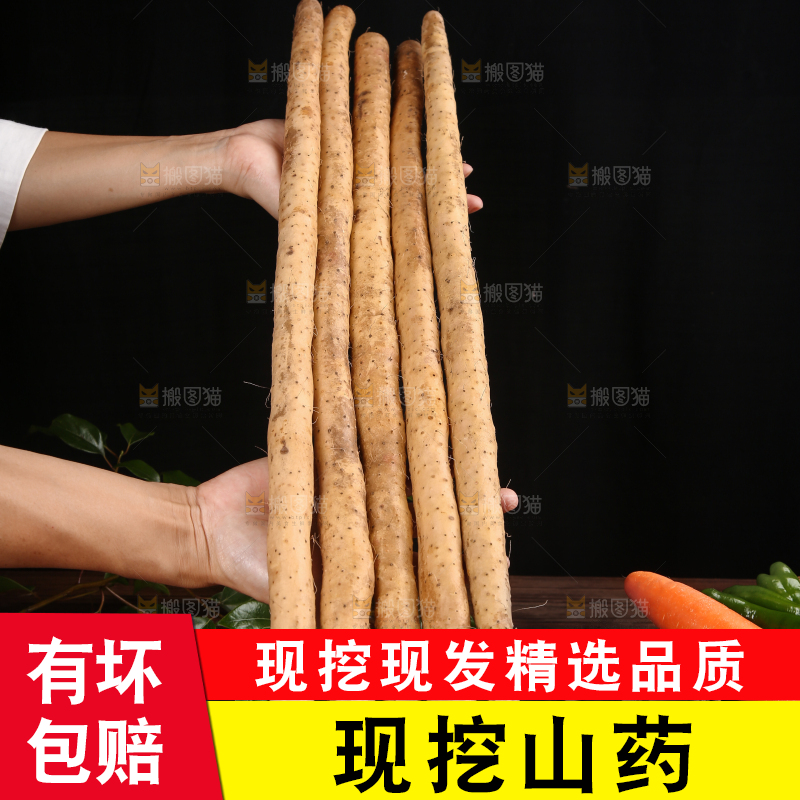 深底上的山药