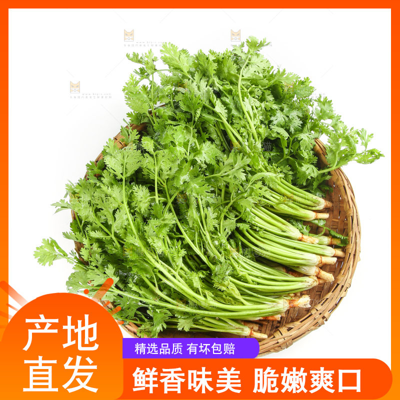 白底上的芹菜
