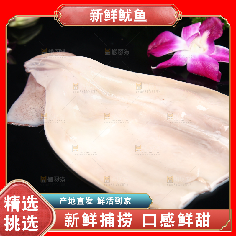 黑底上的鱿鱼