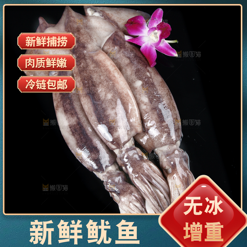 黑底上的鱿鱼