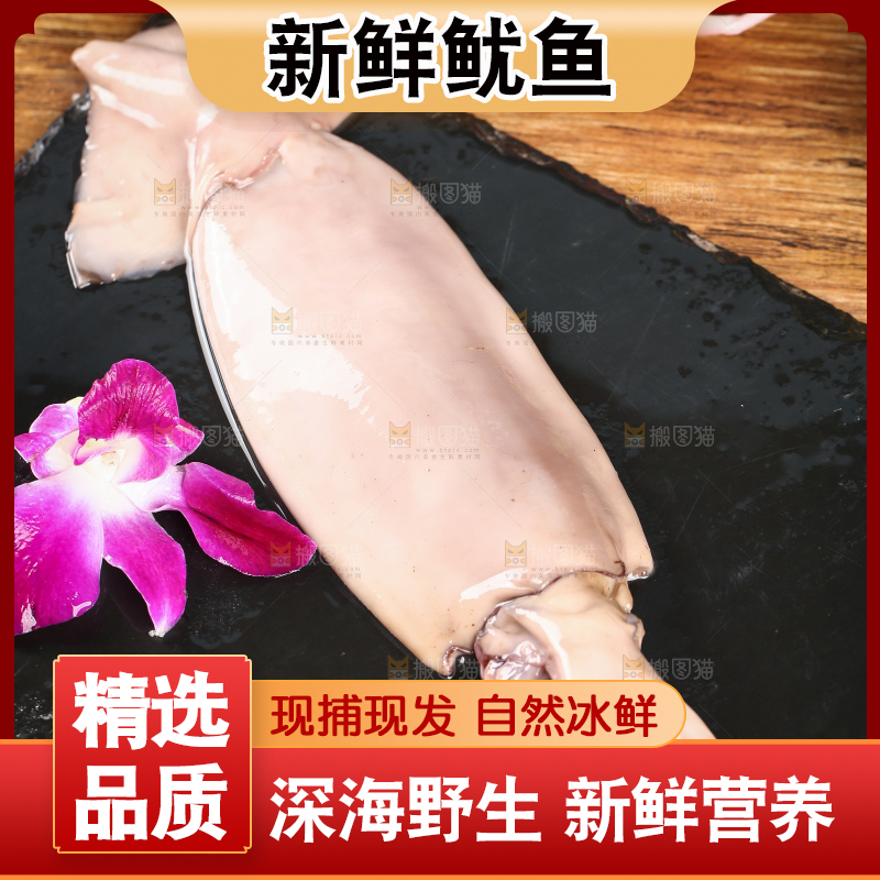 黑底上的鱿鱼