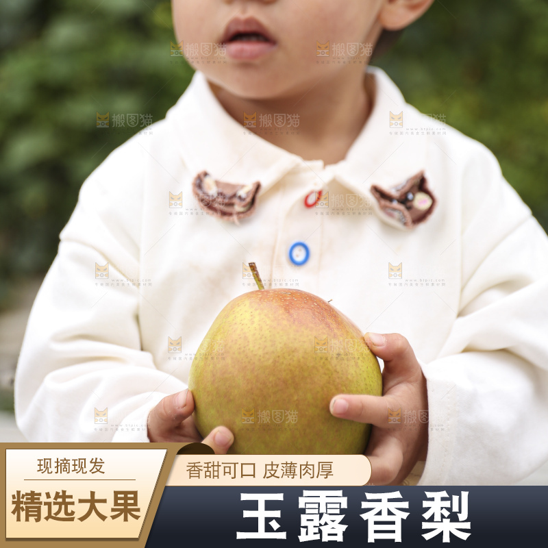 手里拿着玉露香梨