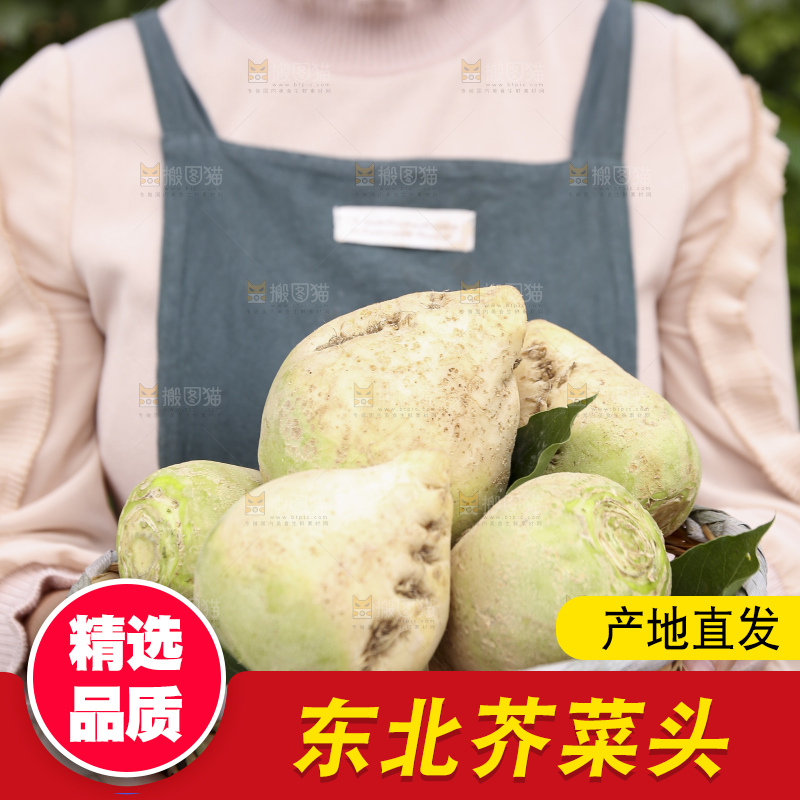 手里拿着大头芥菜