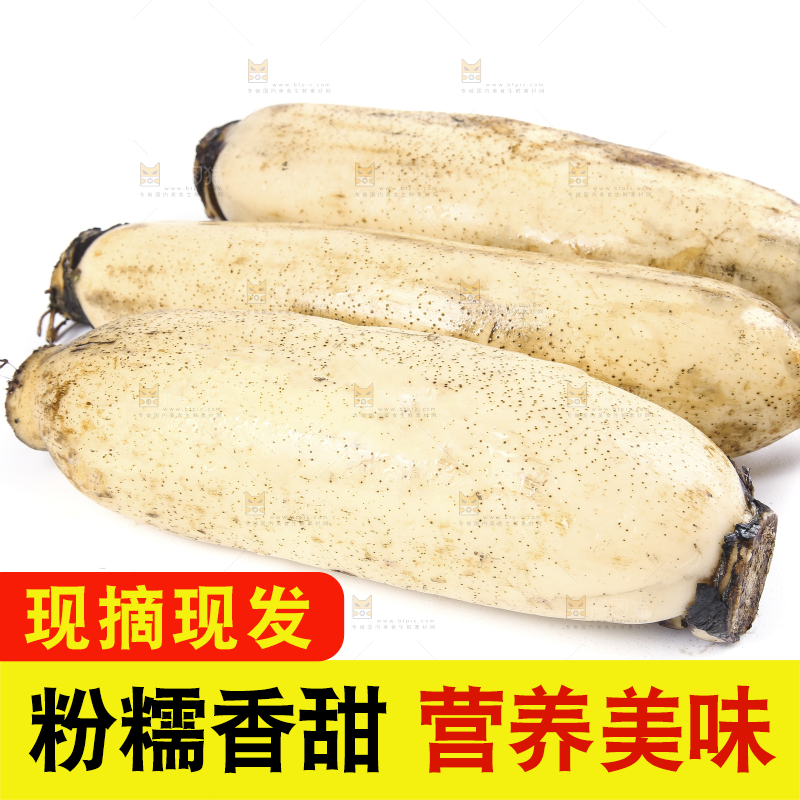 白底上放着莲藕
