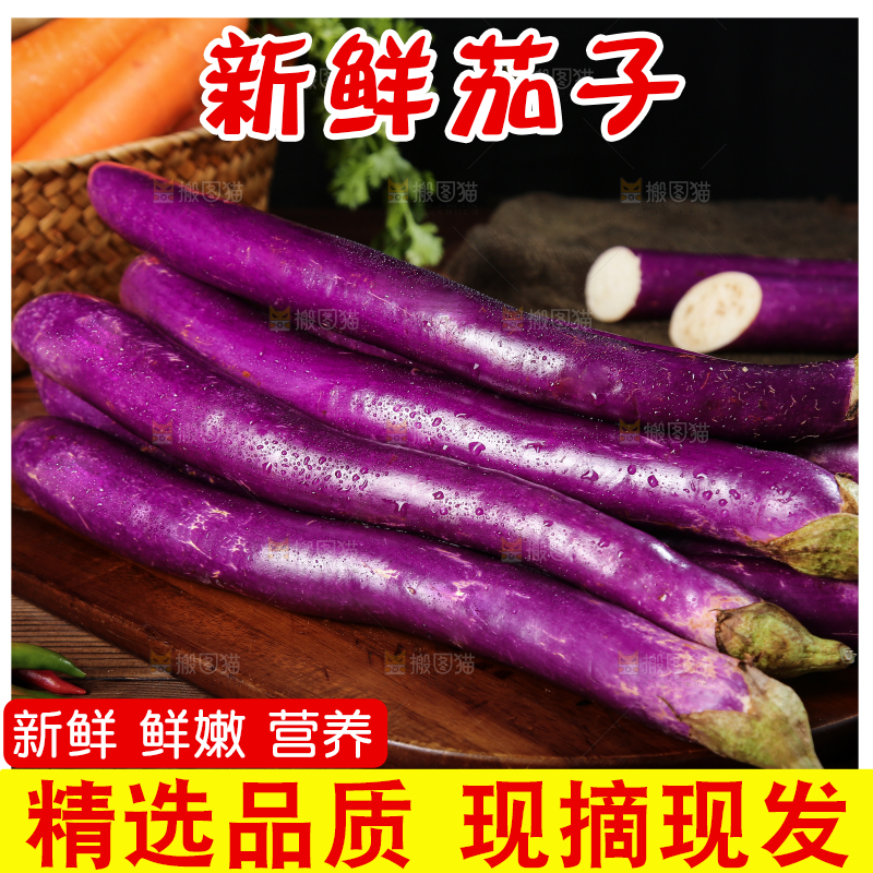 深底上的紫长茄子