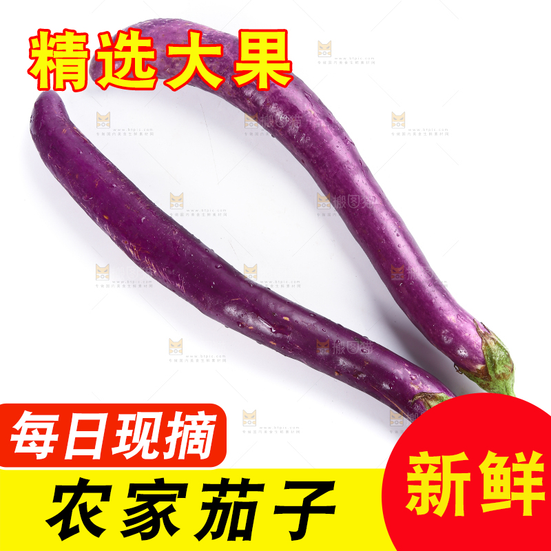 白底上的紫长茄子