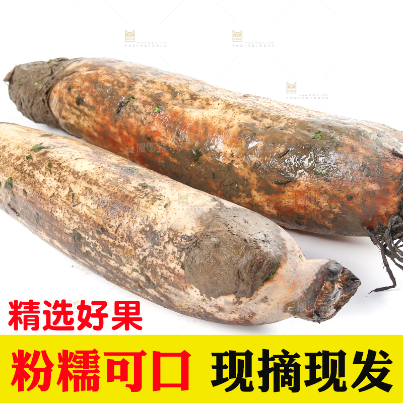 白底上放着莲藕