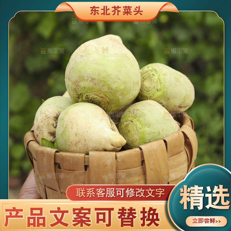 手里拿着大头芥菜