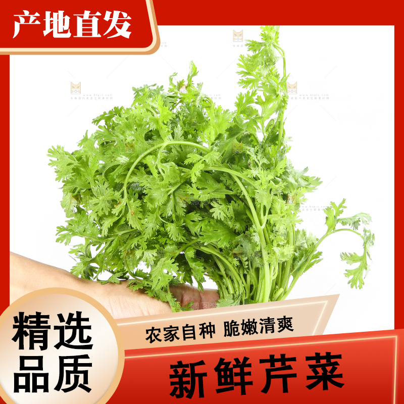 白底上的芹菜