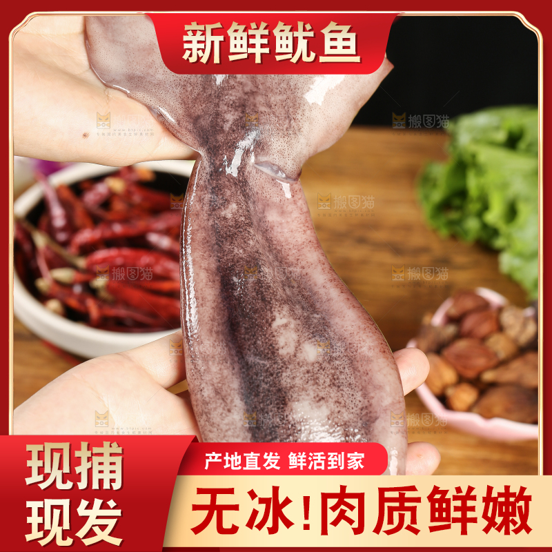 黑底上的鱿鱼