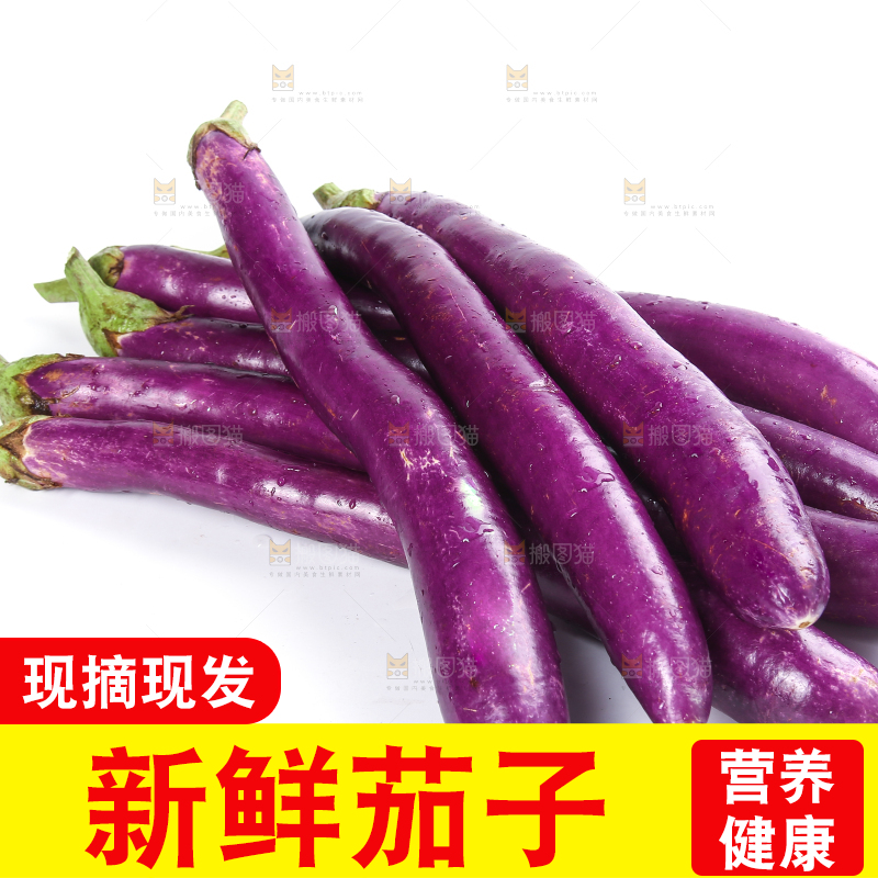 白底上的紫长茄子