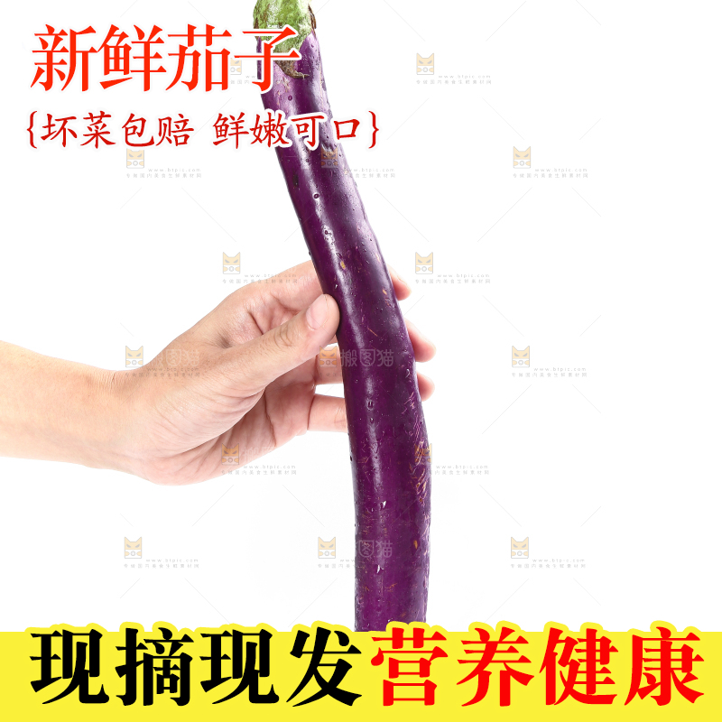 白底上的紫长茄子