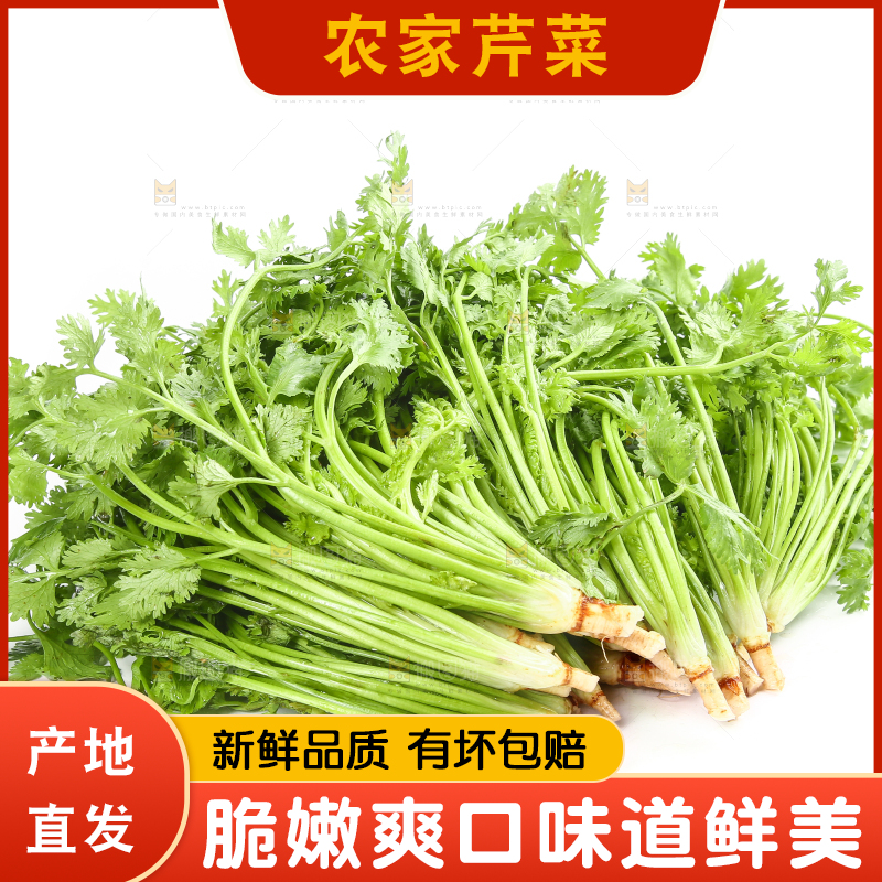 白底上的芹菜
