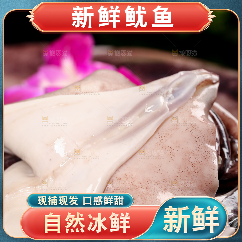 黑底上的鱿鱼