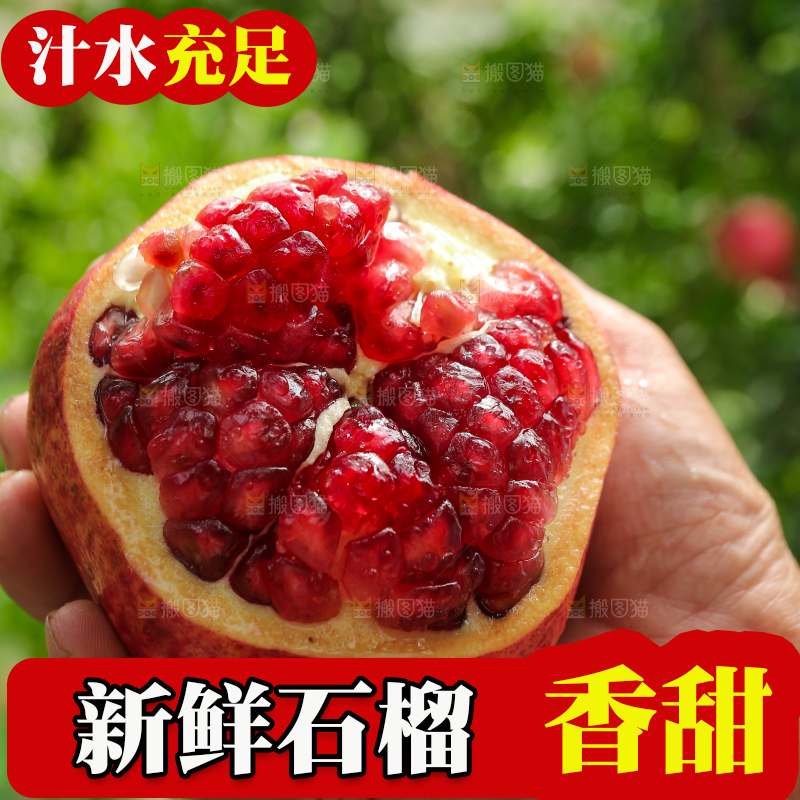 石榴产地
