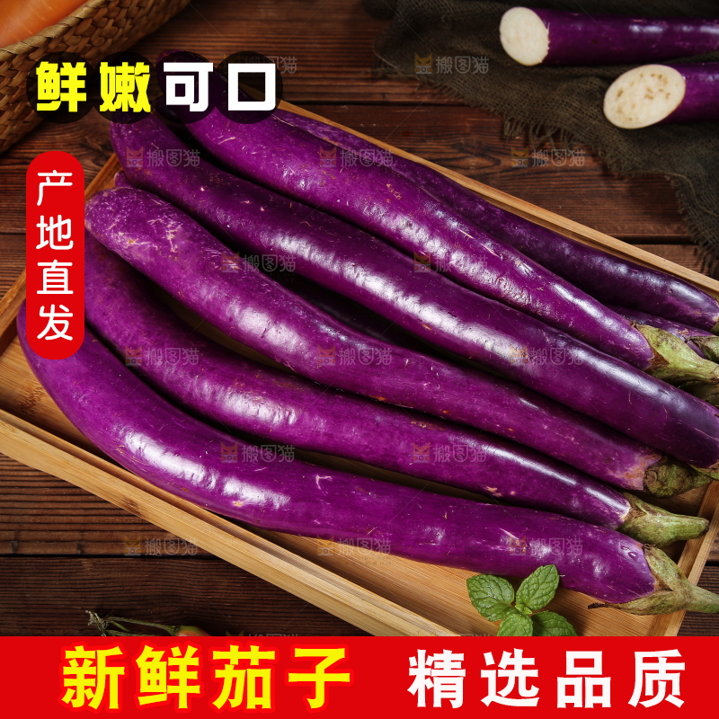 深底上的紫长茄子