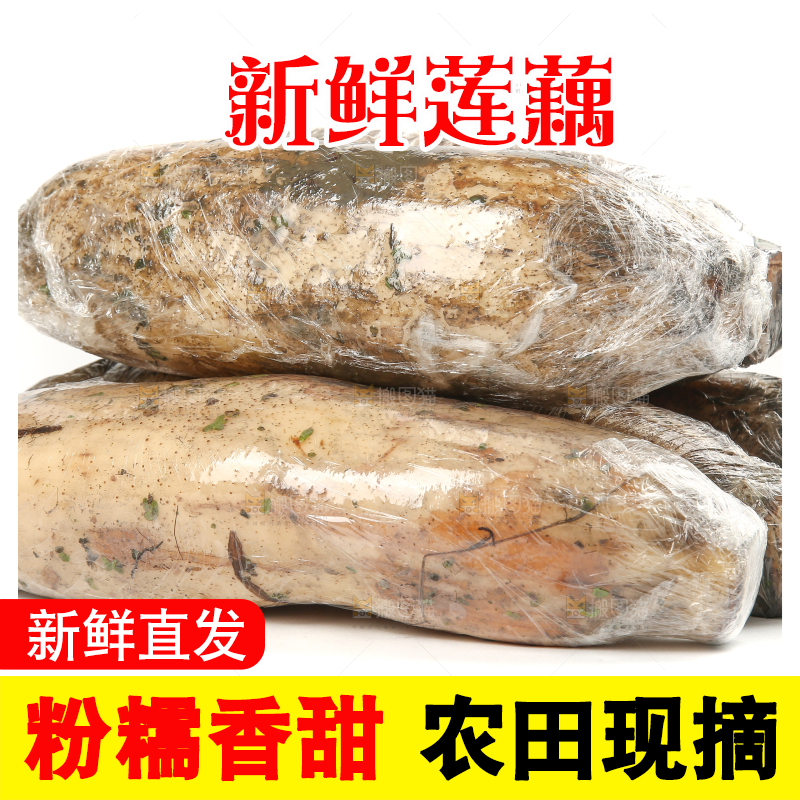 白底上放着莲藕