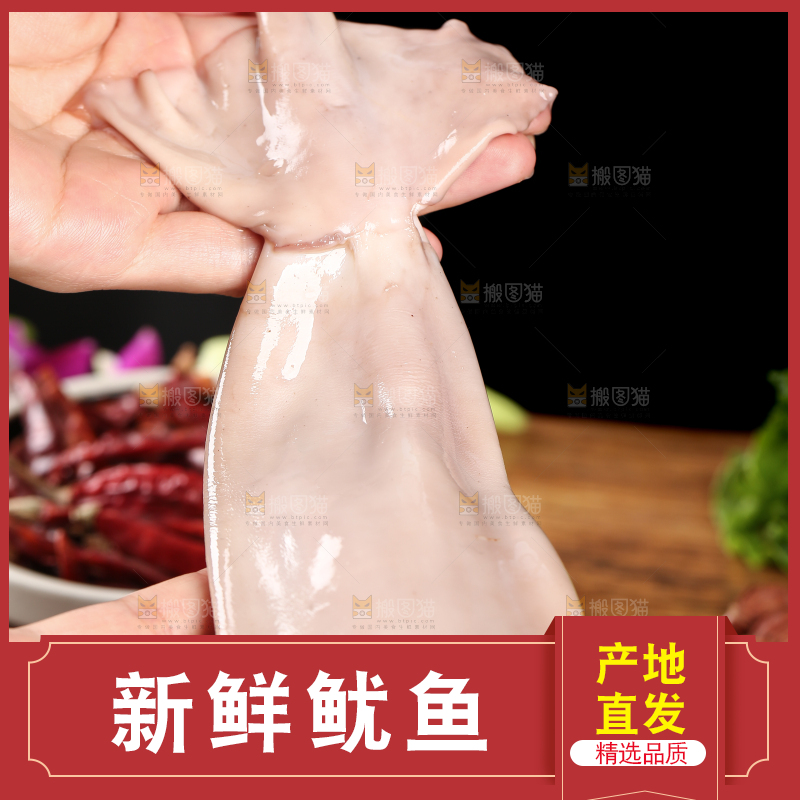 黑底上的鱿鱼
