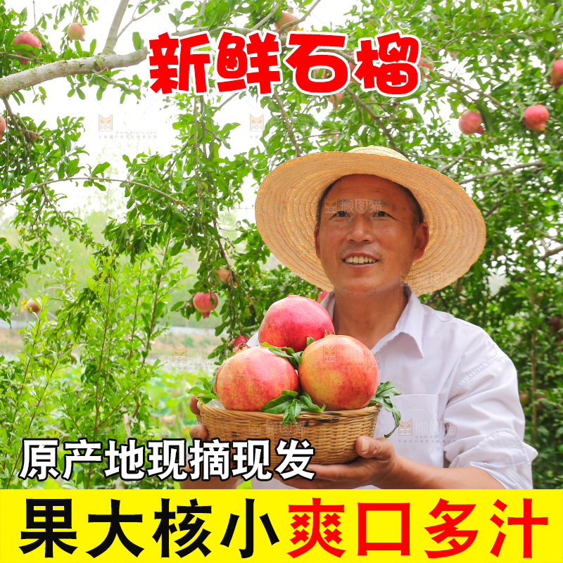 石榴产地