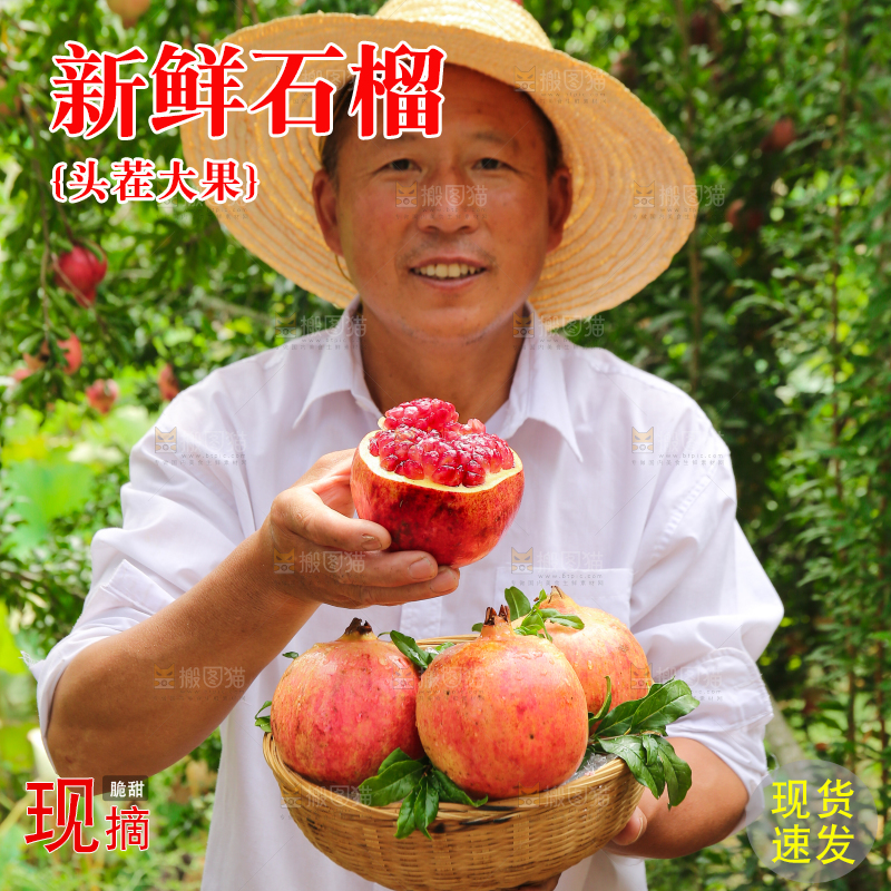 石榴产地