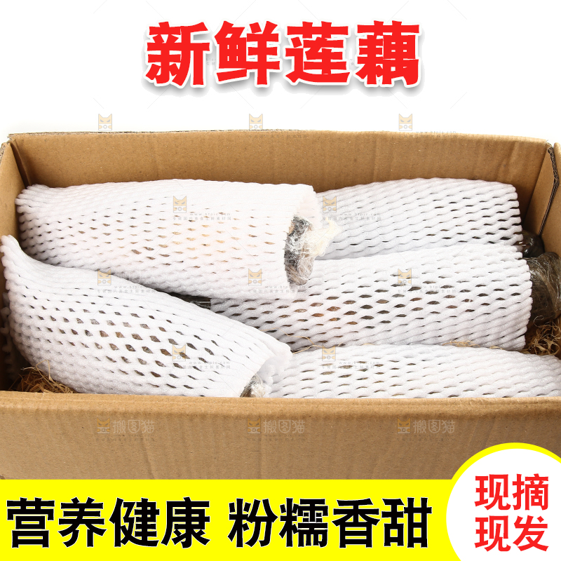 白底上放着莲藕