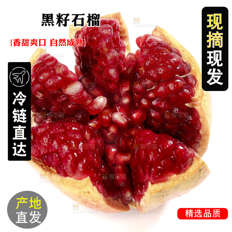 白底上的突尼斯软籽石榴