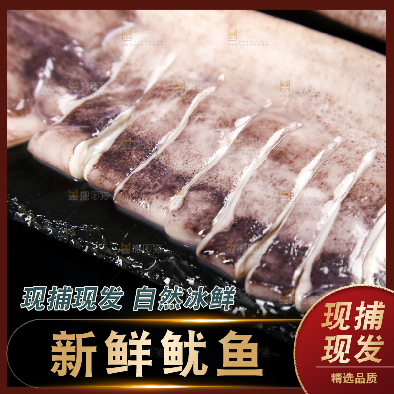黑底上的鱿鱼