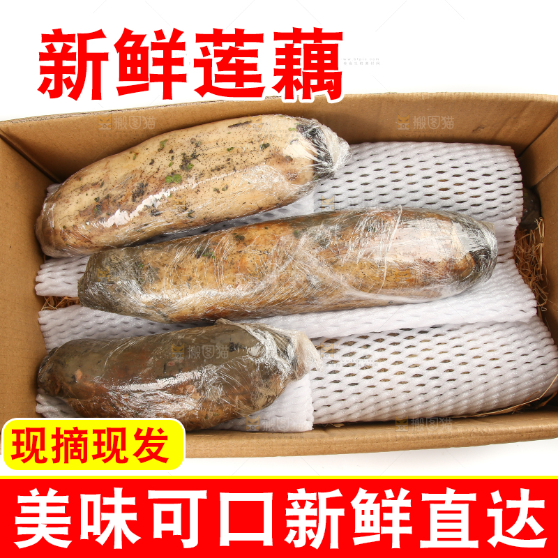 白底上放着莲藕