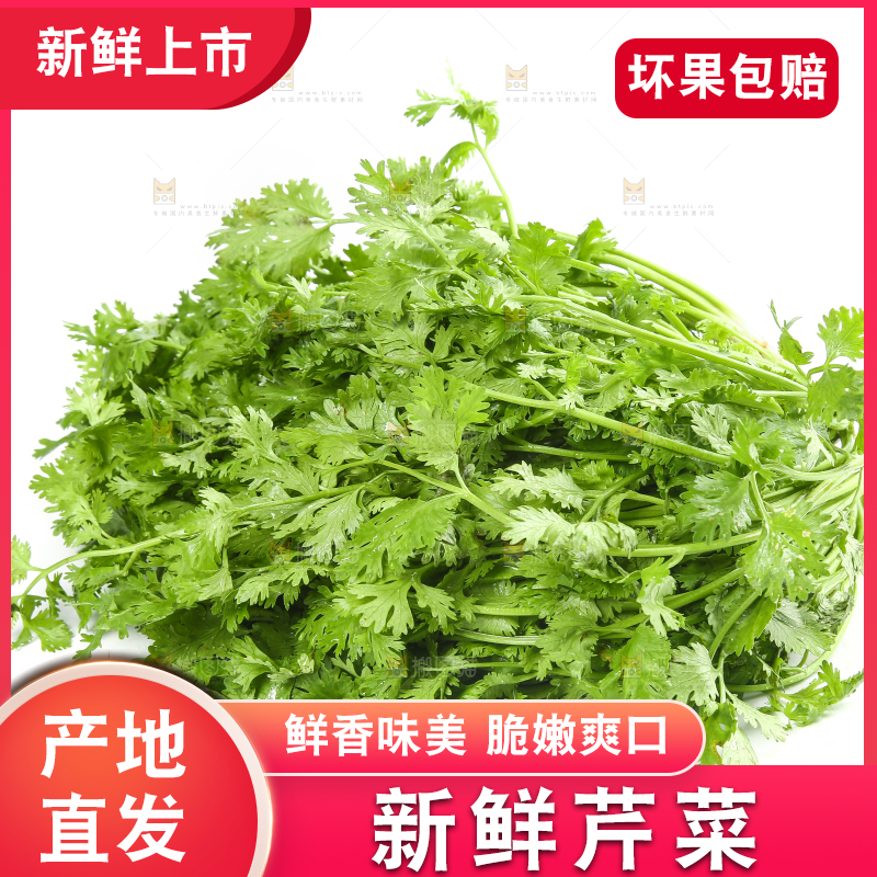 白底上的芹菜
