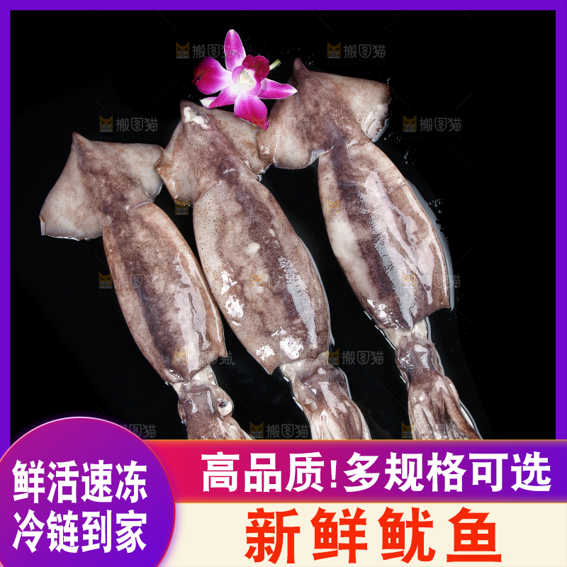 黑底上的鱿鱼