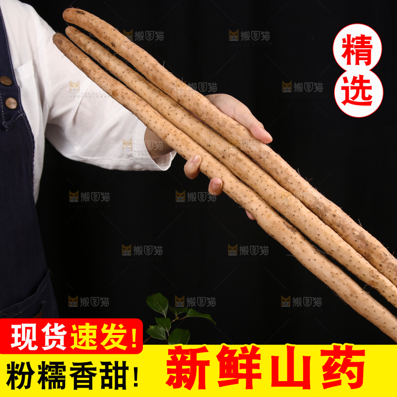 深底上的山药