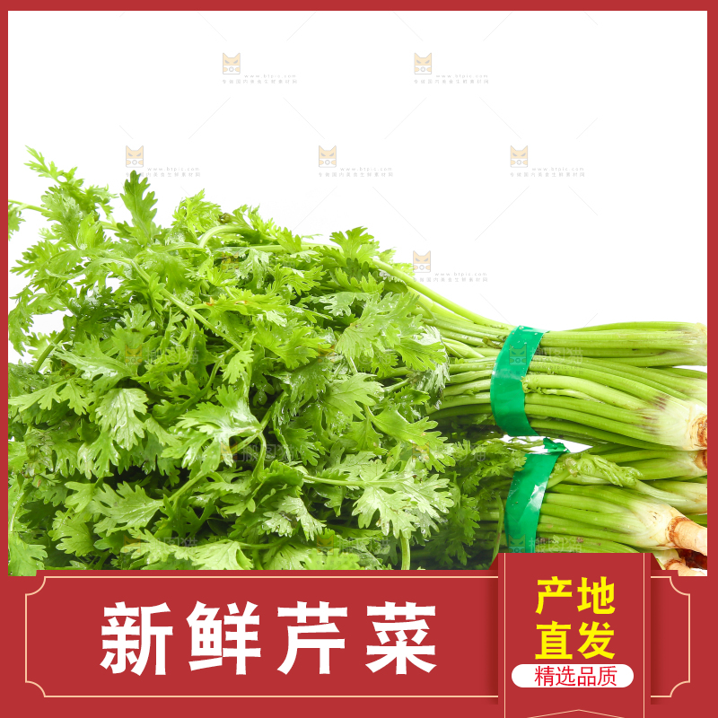 白底上的芹菜