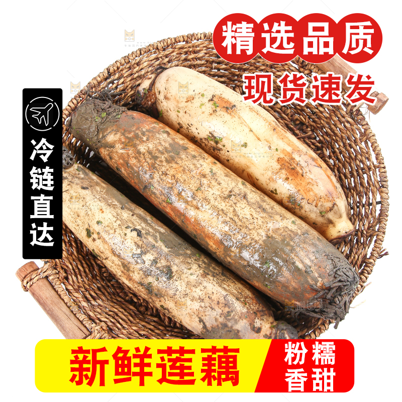 白底上放着莲藕