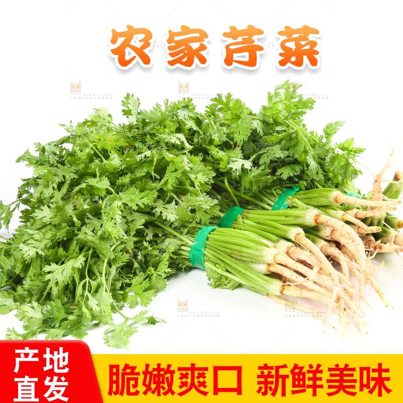白底上的芹菜