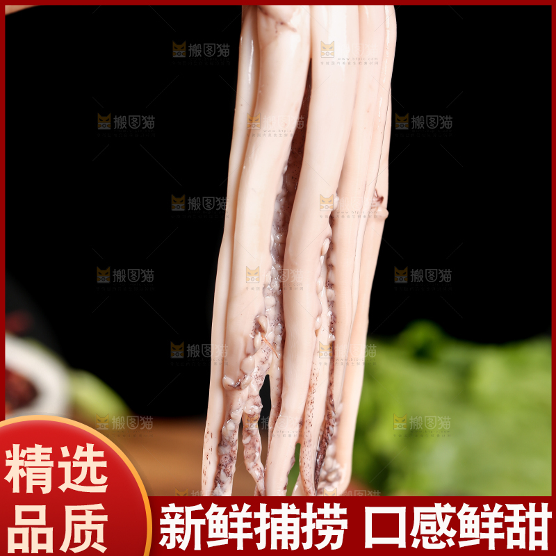 黑底上的鱿鱼