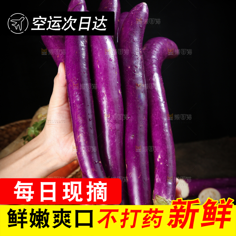 深底上的紫长茄子