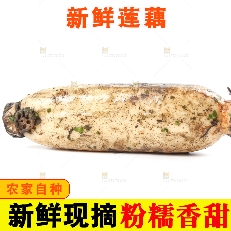 白底上放着莲藕