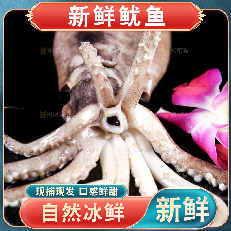 黑底上的鱿鱼
