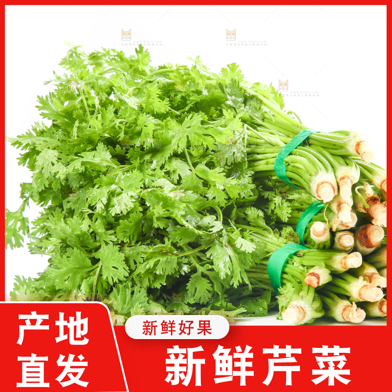 白底上的芹菜