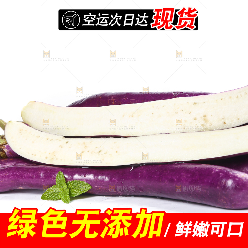 白底上的紫长茄子