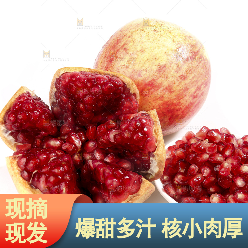 白底上的突尼斯软籽石榴