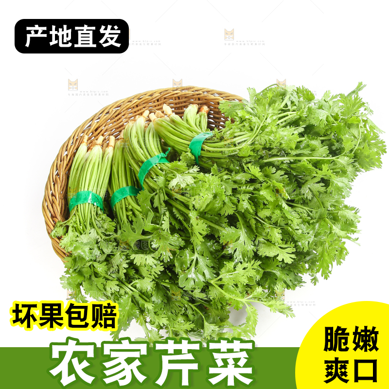 白底上的芹菜