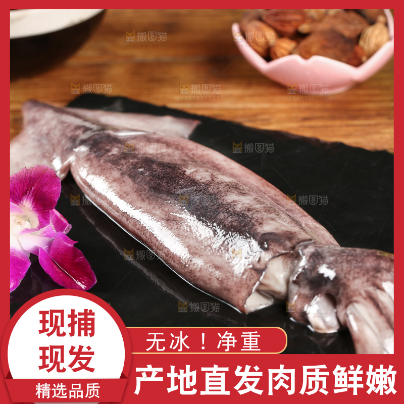 黑底上的鱿鱼