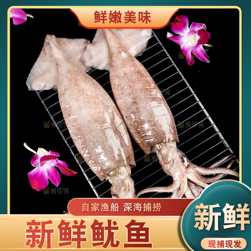 黑底上的鱿鱼
