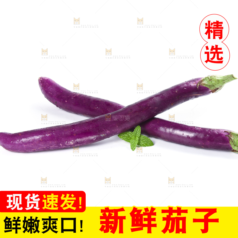 白底上的紫长茄子
