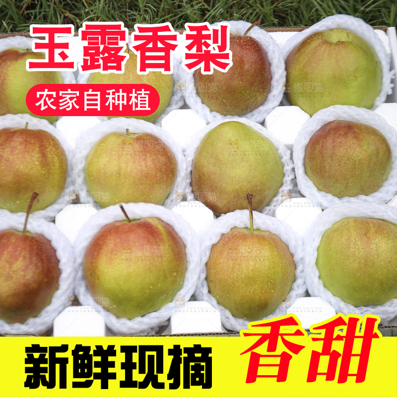 深底上的玉露香梨