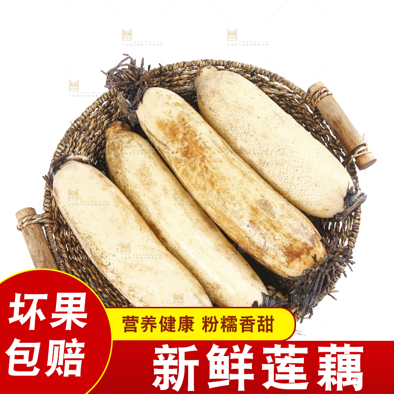 白底上放着莲藕