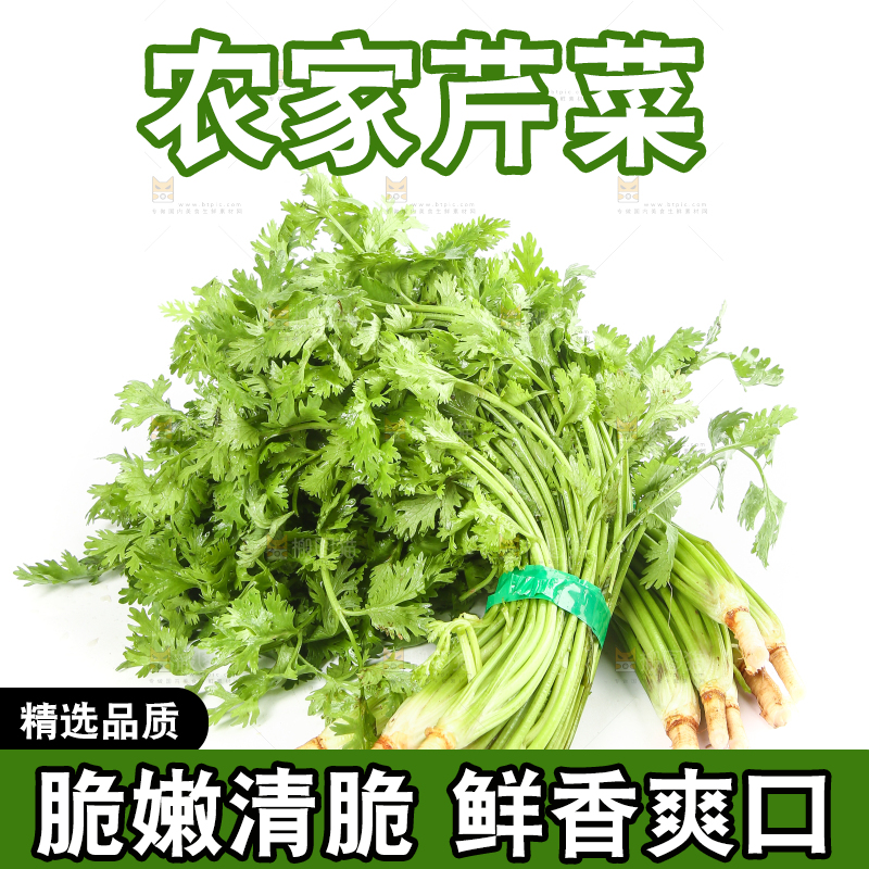 白底上的芹菜