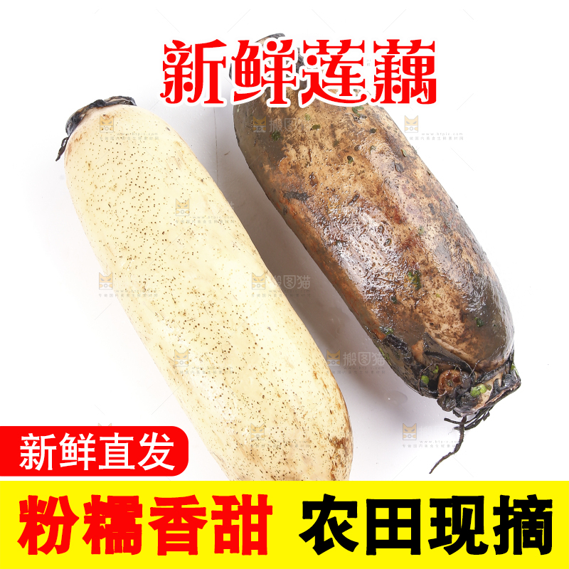 白底上放着莲藕