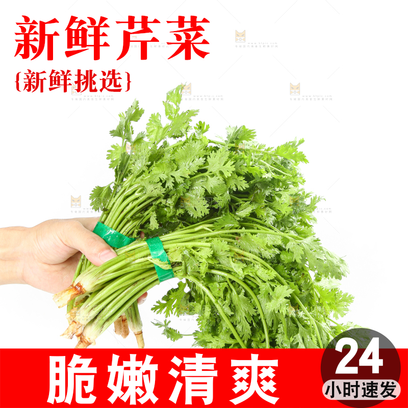 白底上的芹菜